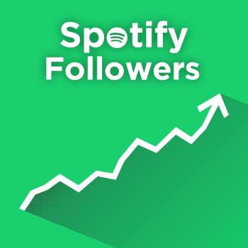 4000 Spotify Followers / Abonnenten für Dich