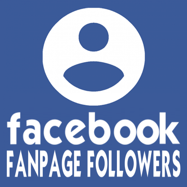 300 Facebook Fanpage Followers / Abonnenten für Dich