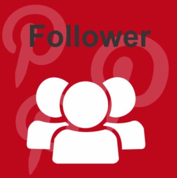 7500 Pinterest Followers / Abonnenten für Dich