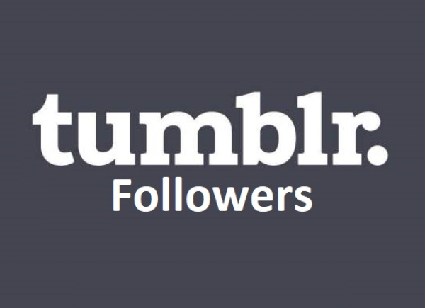 300 Tumblr Followers / Abonnenten für Dich